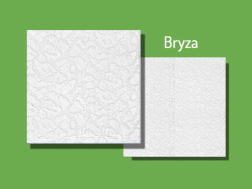 bryza-600x450